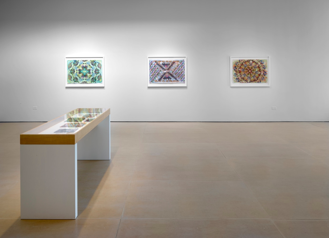 Installation view, Gates of Cilicia, McClain Gallery, Houston, TX, February 2021