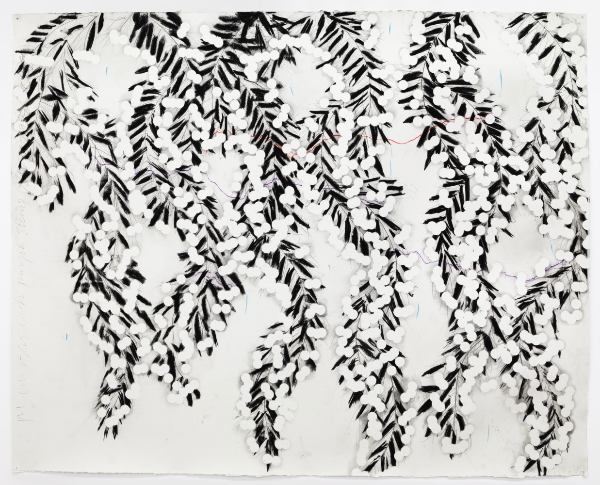 Donald Sultan Mimosa with Purple String Nov 16 2022, 2022 charcoal, conte crayon, and graphite on paper  paper: 48 x 60 inches  frame: 56 1/2 x 69 3/4 inches