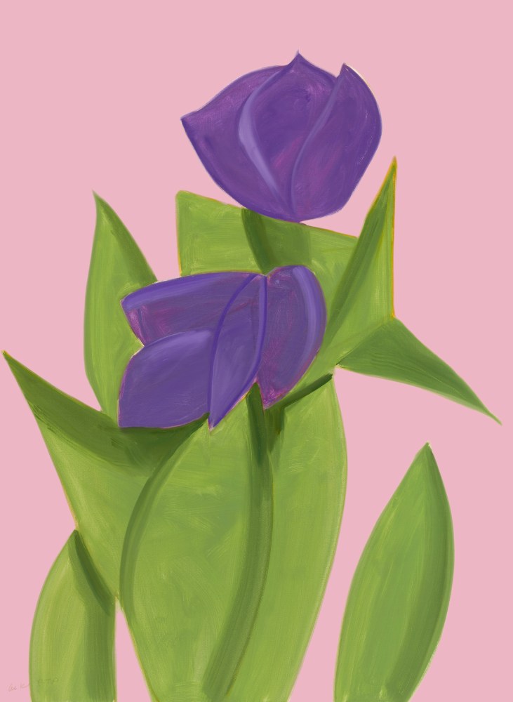 Alex Katz  Purple Tulips 2 (from Flowers Portfolio), 2021 archival pigment inks on Innova etching cotton rag 315 gsm paper: 47 x 34 inches frame: 50 7/8 x 30 1/8 inches Edition 26 of 100