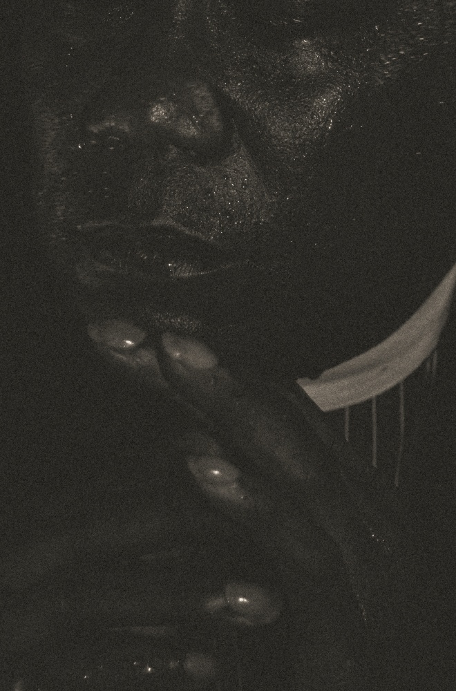 Shikeith  don’t weep, don’t you mourn, 2022 archival inkjet print on photo rag Baryta paper paper: 50 x 33 inches frame: 50 7/8 x 34 inches Edition 3 of 5, with 2 APs