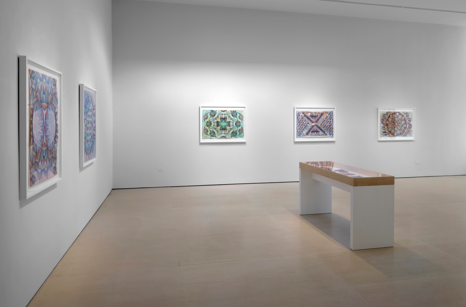 Installation view, Gates of Cilicia, McClain Gallery, Houston, TX, February 2021