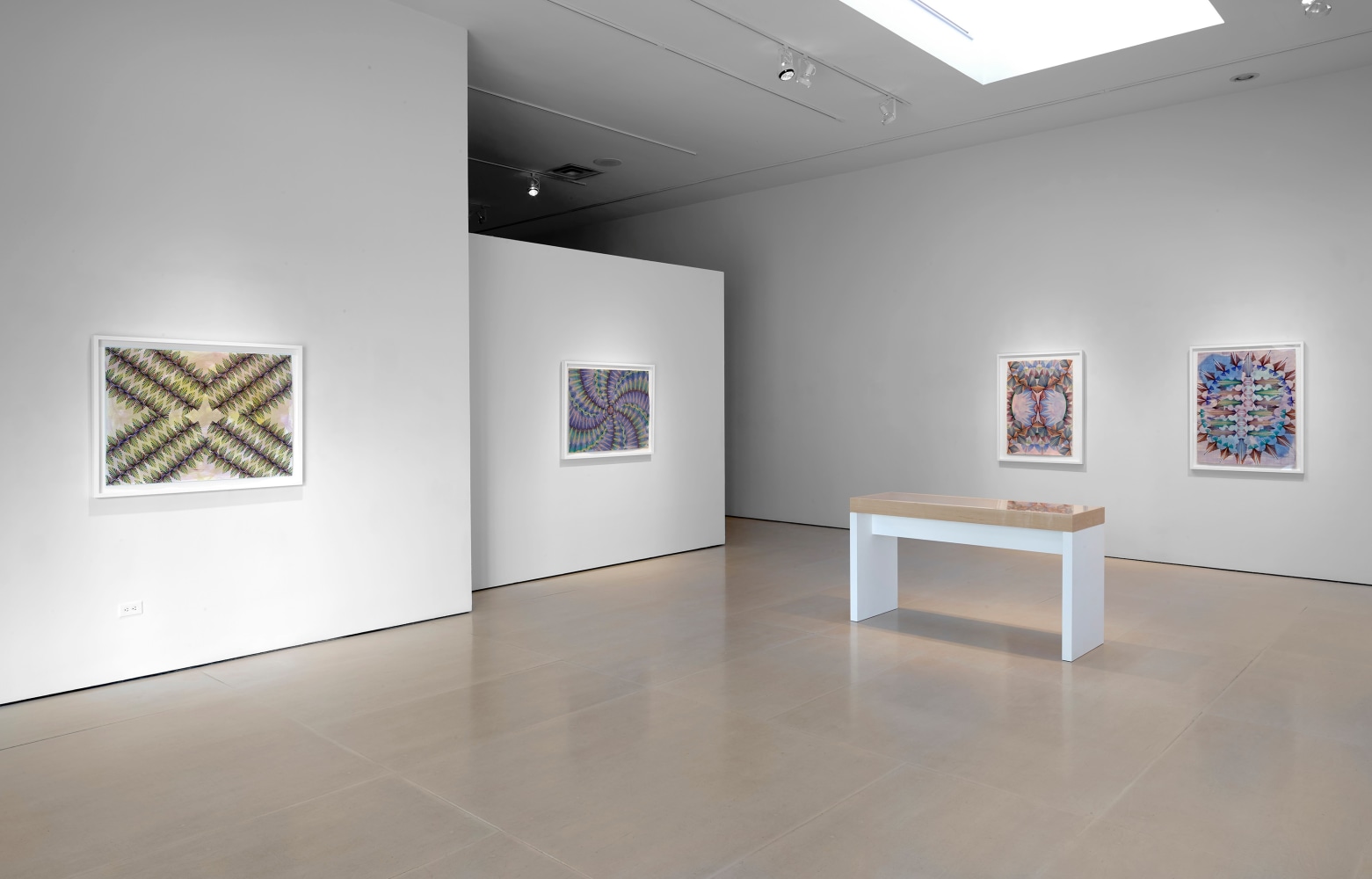 Installation view, Gates of Cilicia, McClain Gallery, Houston, TX, February 2021