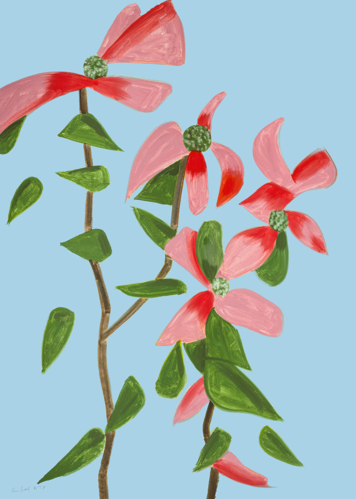 Alex Katz  Red Dogwood 2 (from Flowers Portfolio), 2021 archival pigment inks on Innova etching cotton rag 315 gsm paper: 47 x 34 inches frame: 51 x 37 3/8 inches Edition 26 of 100