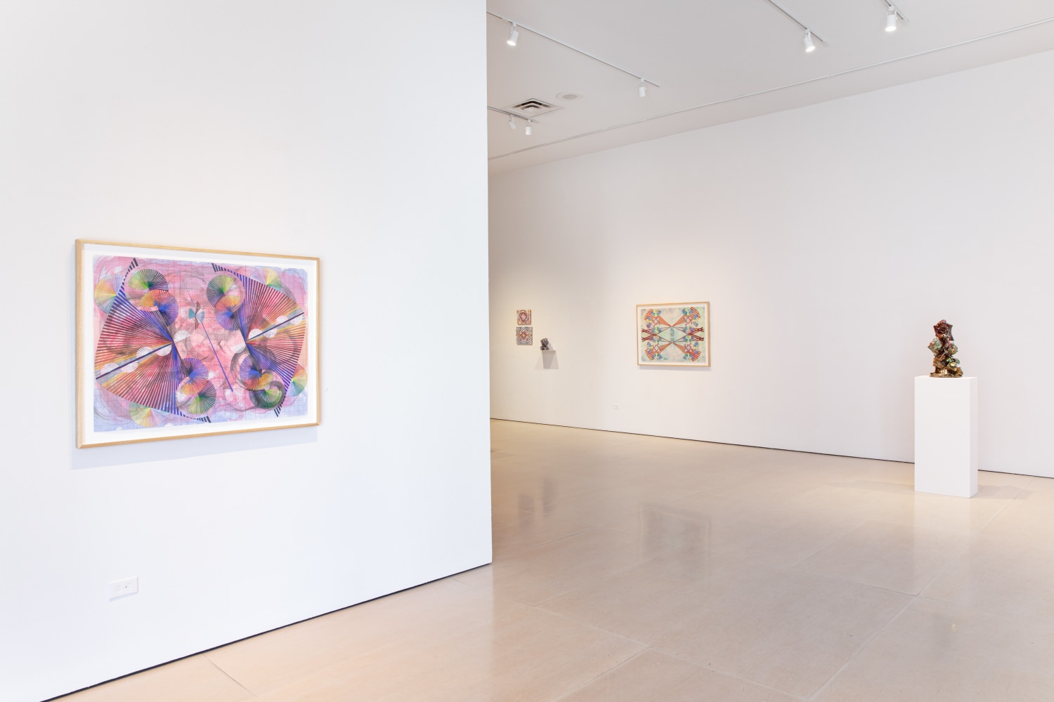 Installation view, Kaleidoscope Eyes, McClain Gallery, Houston, TX