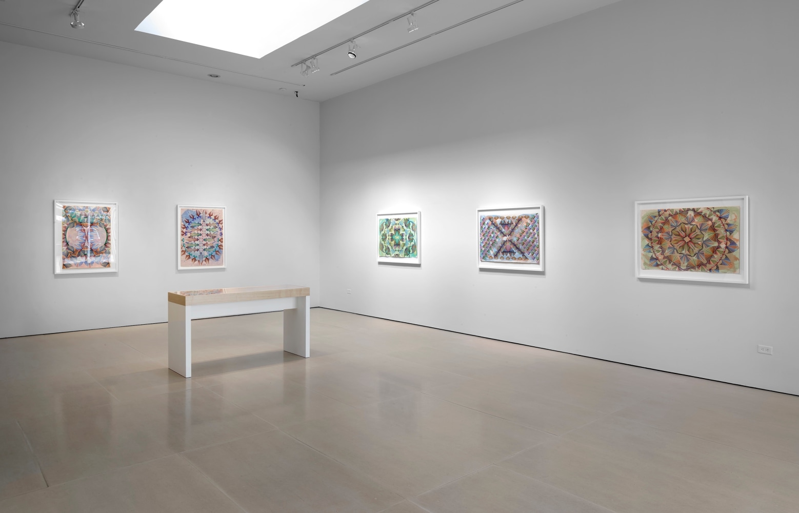 Installation view, Gates of Cilicia, McClain Gallery, Houston, TX, February 2021