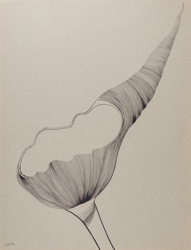 Dorothy Hood  Untitled, 1960s  pen and ink on gray Canson paper  paper: 25 1/4 x 19 1/2 inches  frame: 31 6/8 x 25 15/16 inches