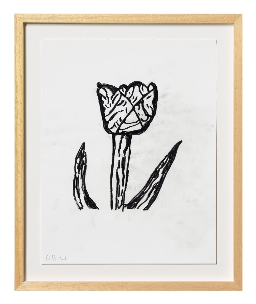 Donald Baechler Flower, 2021 graphite on Strathmore Archival Bond paper paper: 14 x 11 inches  frame: 17 5/16 x 14 1/4 inches