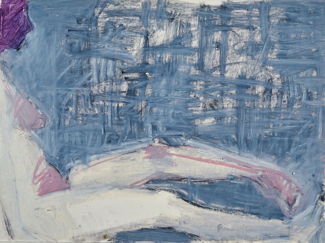 La Palestra Drawing No. 2

1988

Oil-based pigments, charcoal on paper

30 1/8 x 40 inches

76.5 x 101.6cm