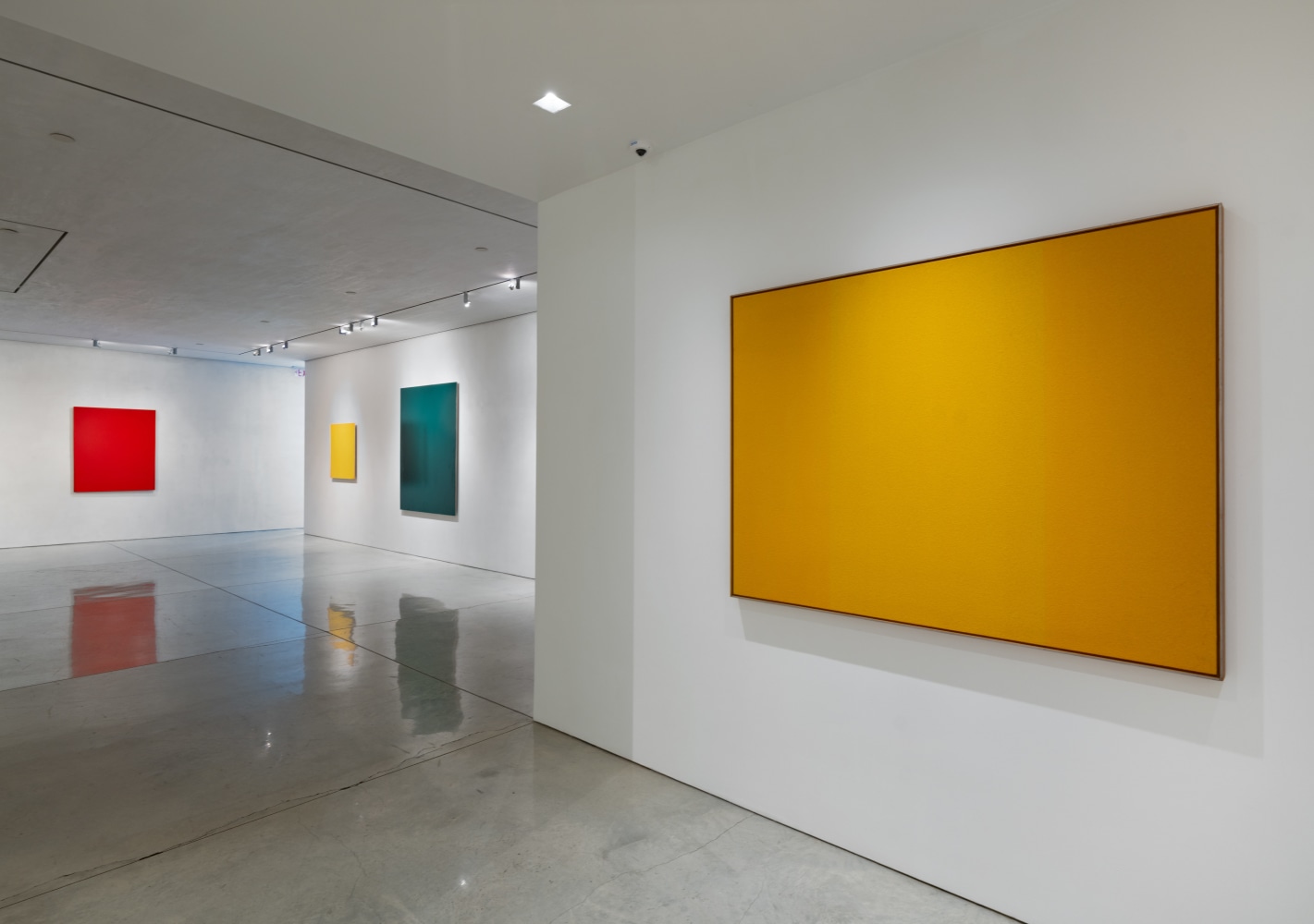 Homage to Joseph Marioni