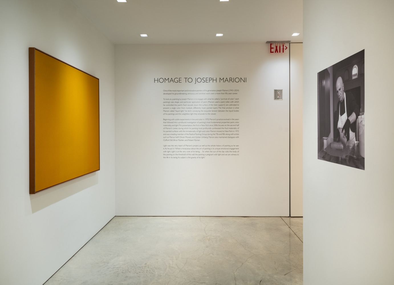 Homage to Joseph Marioni