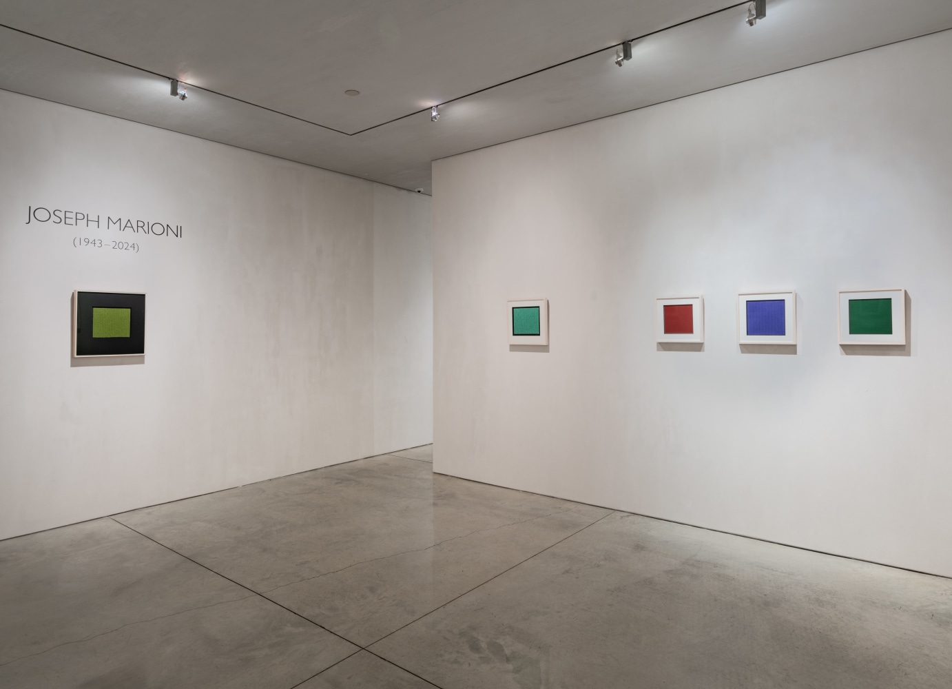 Homage to Joseph Marioni