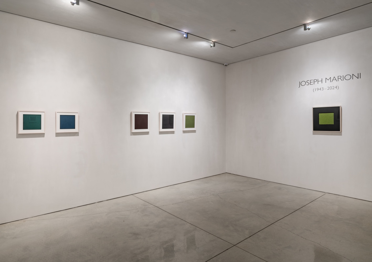 Homage to Joseph Marioni