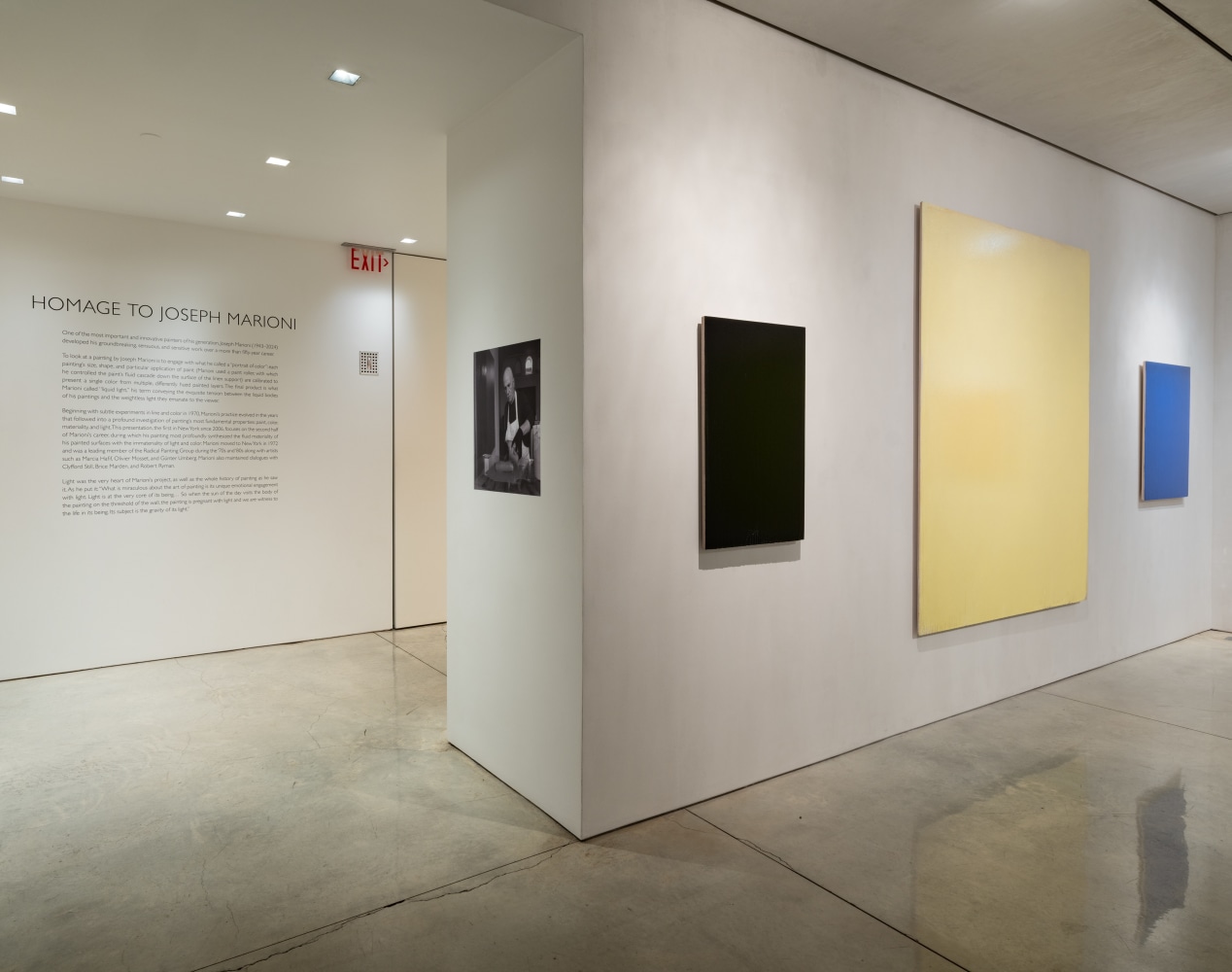 Homage to Joseph Marioni