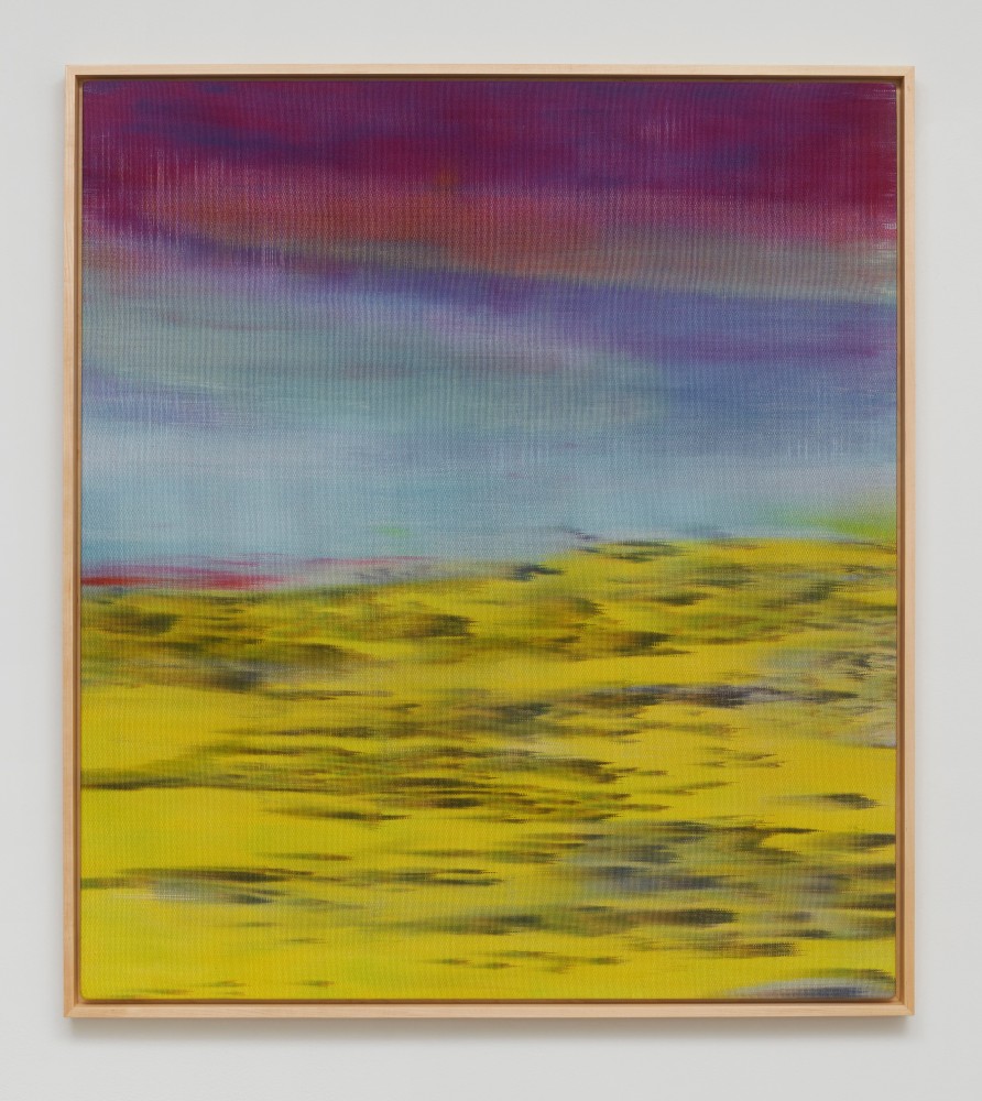 Hildur &amp;Aacute;sgeirsd&amp;oacute;ttir J&amp;oacute;nsson
Lava Fields 9, 2023
silk and dye
45 x 40 inches
(114.3 x 101.6 cm)
(Inv. No. H&amp;Aacute;10210)

sold