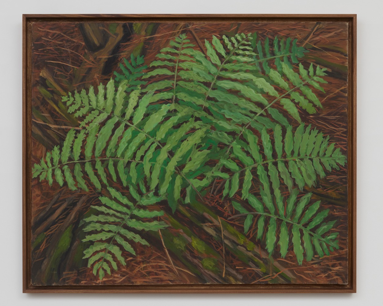 Rudy Burckhardt
Big Fern, 1972
oil on canvas
30 x 36 inches
(Inv. No. 10627)