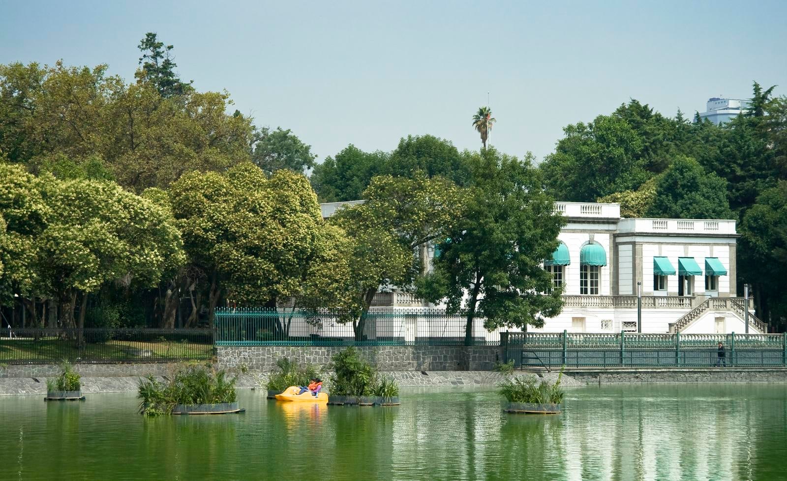 cinco jardines flotantes para cinco piedras, 2009

five stones and five floating gardens made out of plastic bins, plastic containers, rubber tires, wood, plastic bags with earth and plants

137.8 in. diameter

installation view at casa del lago, mexico city, 2009

&amp;nbsp;

&amp;nbsp;