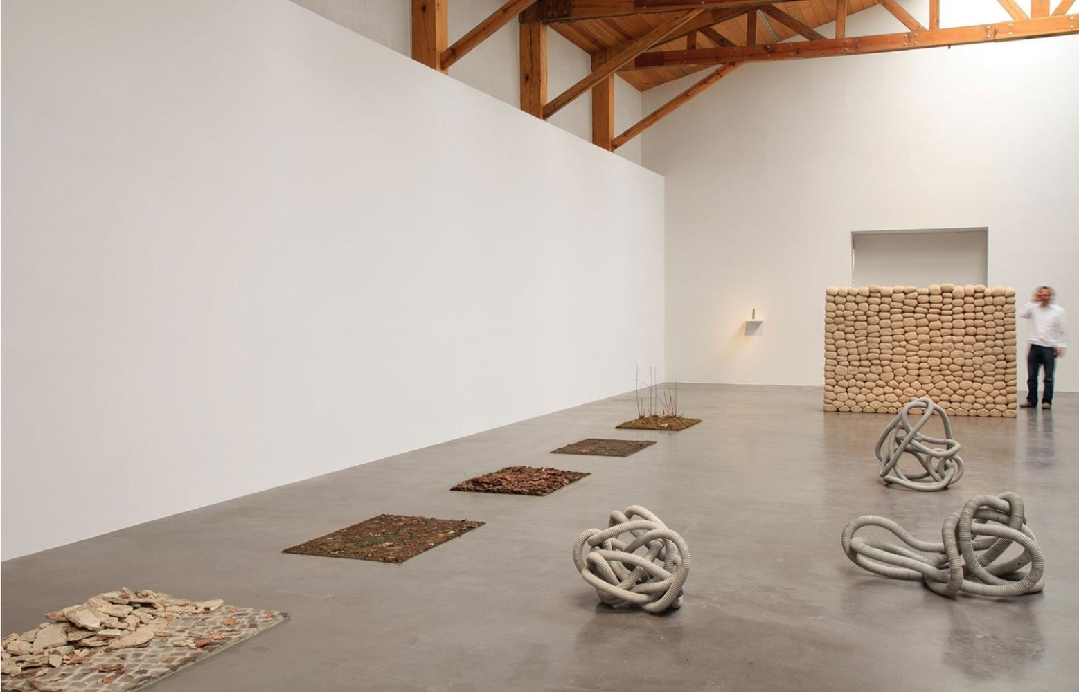 	dami&amp;aacute;n ortega, kurimanzutto, mexico city, 2011