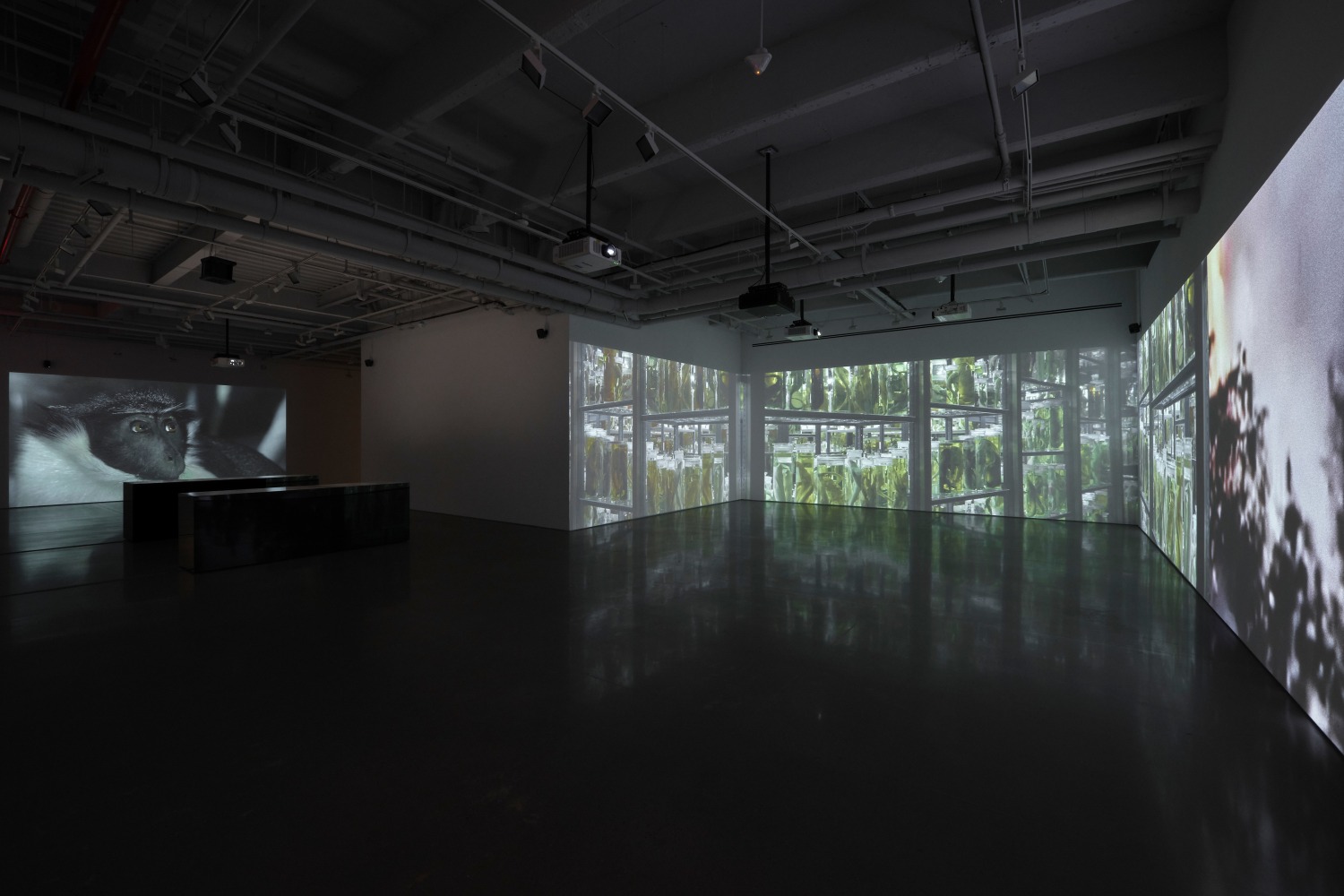 installation view soundwalk collective &amp;amp; patti smith: correspondences, kurimanzutto new york, 2025. photo: zach hyman