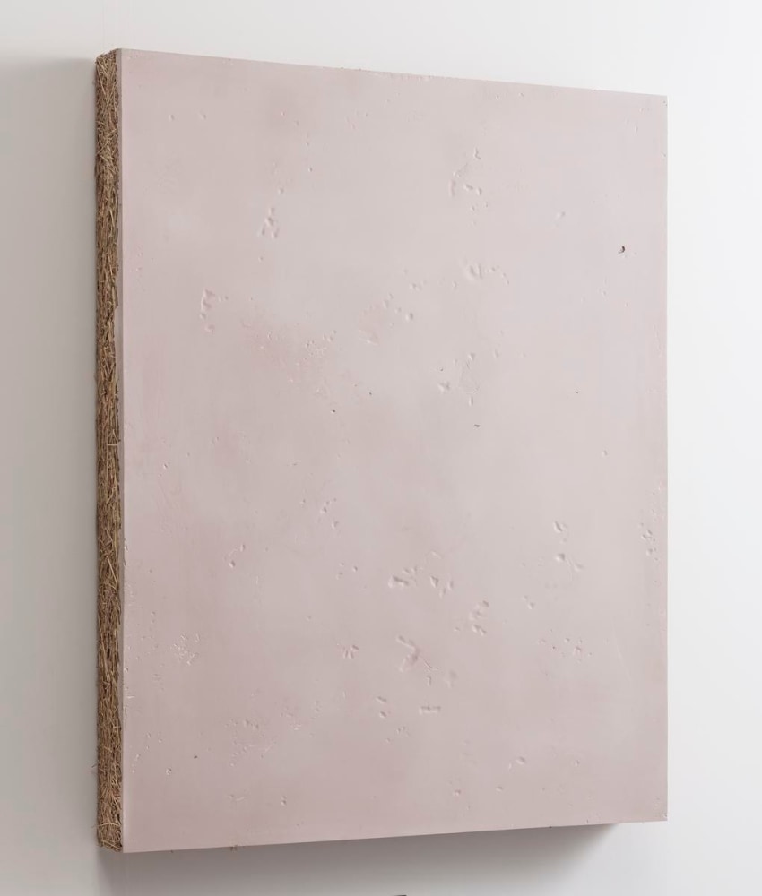 untitled, 2015

glued hay and resin

35.43 x 31.5 x 3.15 in.

&amp;nbsp;

&amp;nbsp;