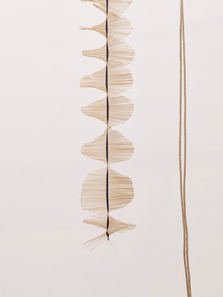 the last days in chimalistac, 2013

leather, hemp rope, bamboo, linen thread, oak

variable dimensions
installation view, kunsthalle basel, switzerland, 2013

&amp;nbsp;