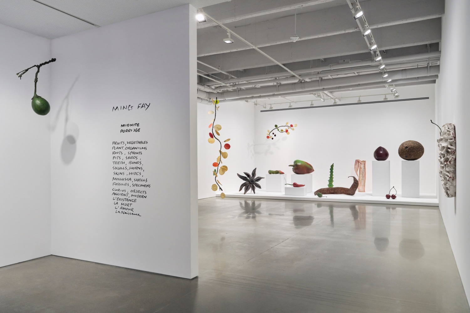 vista de instalaci&amp;oacute;n&amp;nbsp;ming fay: midnite porridge, kurimanzutto nueva york, 2025. foto: zach hyman