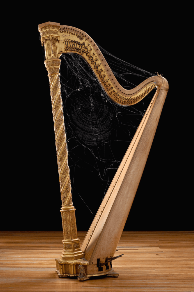 n. clavipes meets s. erard, mov. 1, 2008

digital print

35.43 x 23.62 in.

&amp;nbsp;

&amp;nbsp;