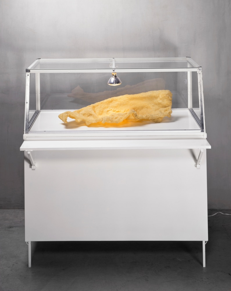 untitled (doy fe), 1998

cast fiberglass, enamel painted, steel, glass vitrine, lightbulb
55.12 x 55.12 x 39.37 in.

&amp;nbsp;

&amp;nbsp;