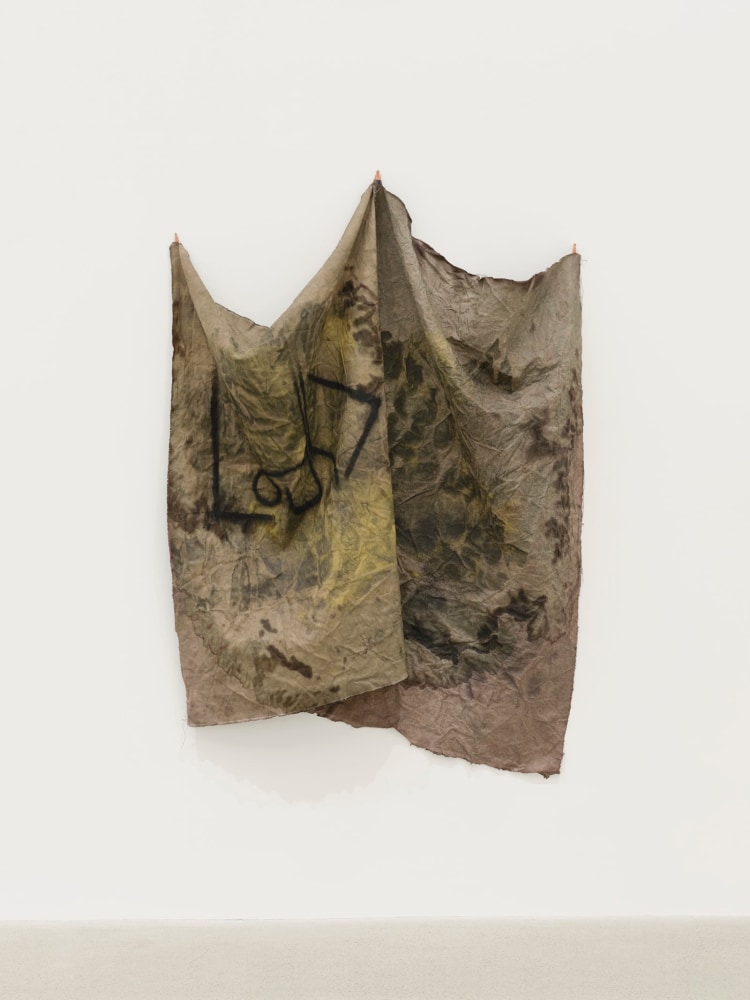 duane linklater.&amp;nbsp;bugjuice, 2021. digital print on linen, cochineal dye, yellow ochre, honey, charcoal, nails