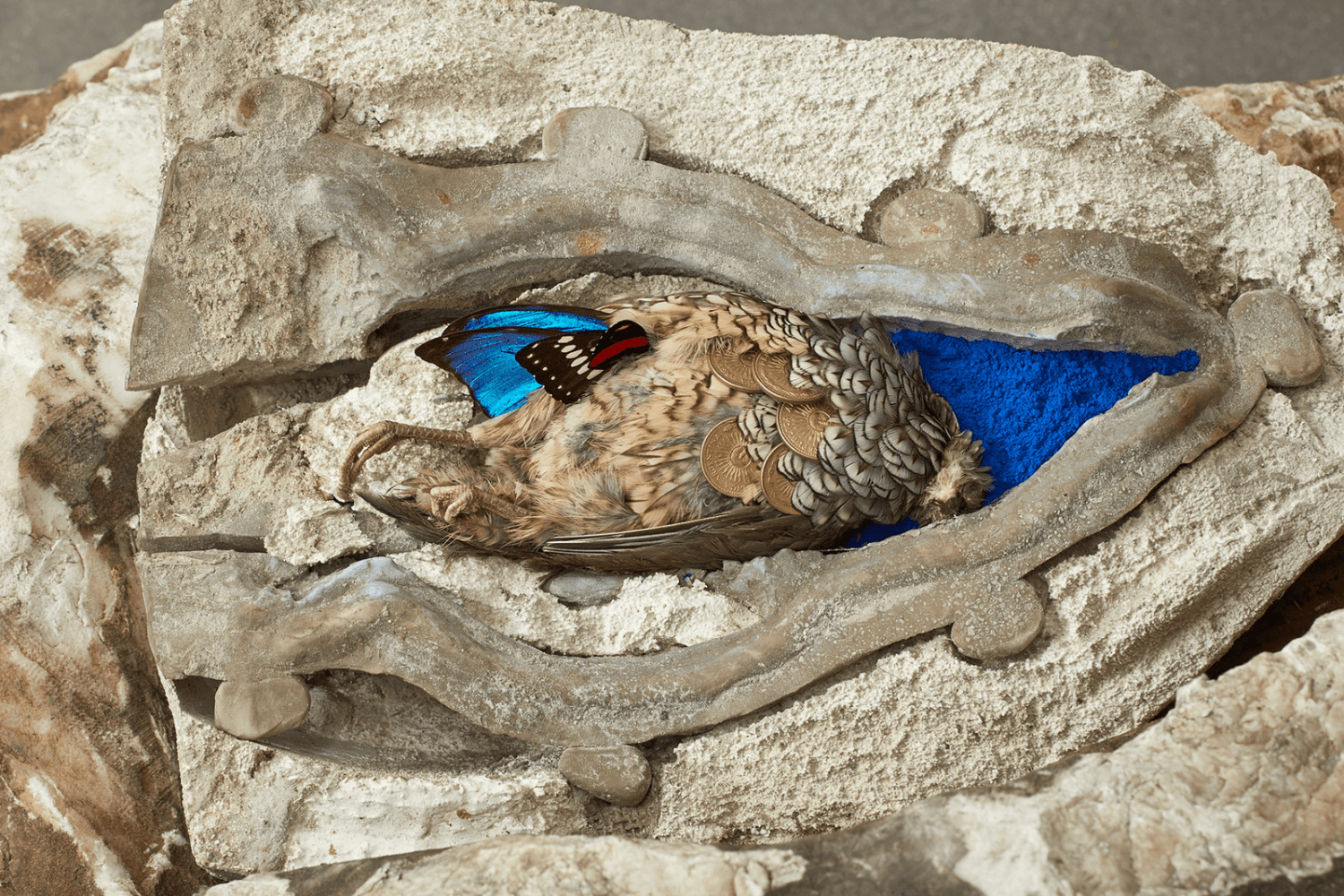 rinascimento, 2015

stones, pigments, metal, wood, found objects

variable dimensions

installation view of&amp;nbsp;rinascimento: adri&amp;aacute;n villar rojas,&amp;nbsp;fondazione sandretto re rebaudengo, tur&amp;iacute;n, italia, 2015

detail