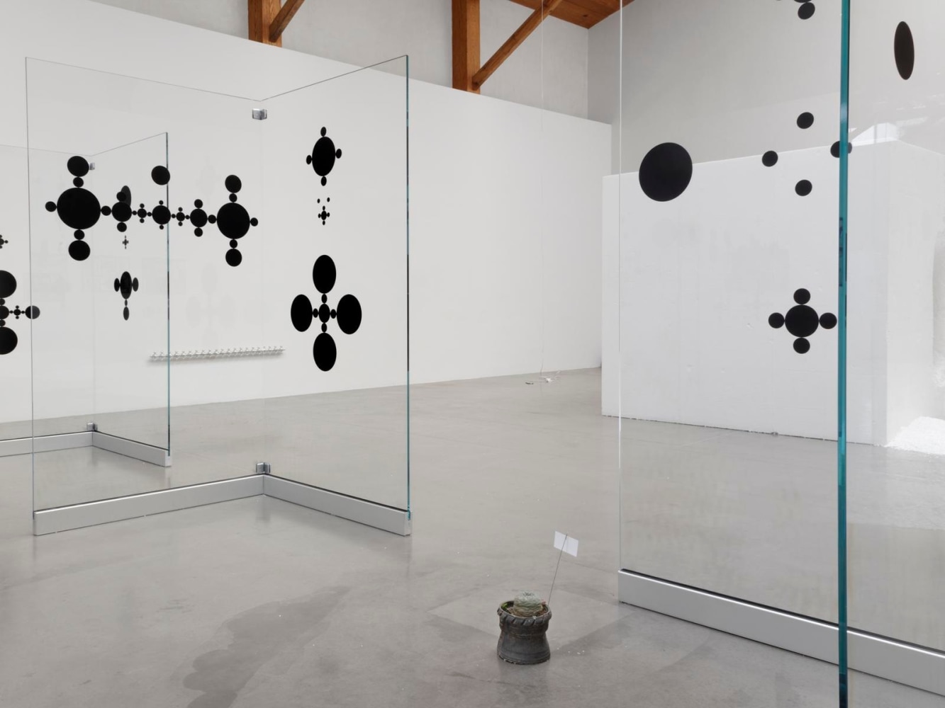 	installation view of xyla&amp;ntilde;ynu. taller de los viernes, kurimanzutto, mexico city, 2016