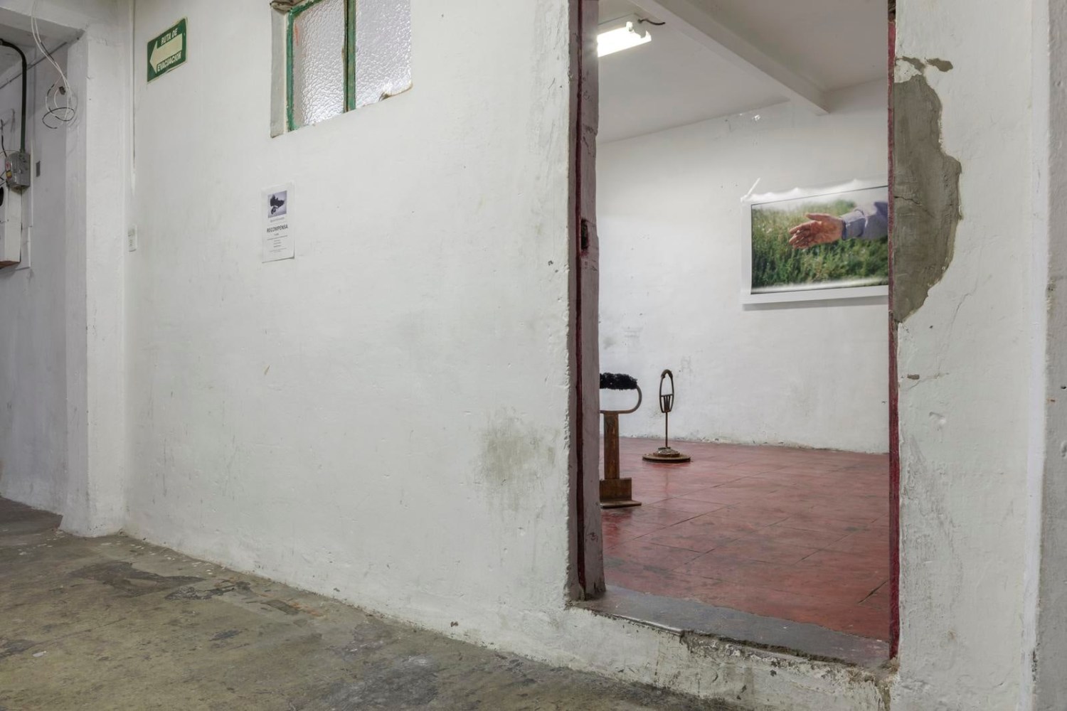 	ca&amp;iacute;da libre, mexico city, 2017