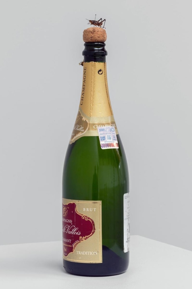 second chance I, 2013

champagne bottle with cork and no wire protector, cricket, pin

12.6 x 3.54 x 3.54 in.

&amp;nbsp;

&amp;nbsp;