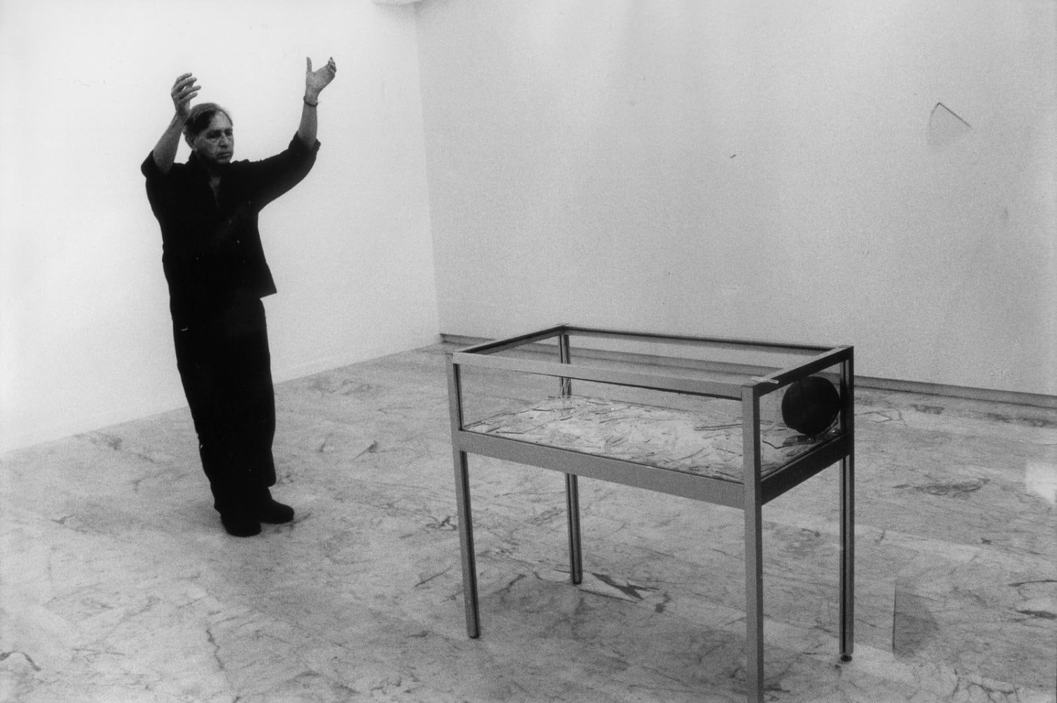 a stone from metternich&amp;#39;s house in bohemia, 1996

documentaci&amp;oacute;n de la acci&amp;oacute;n, como parte de&amp;nbsp;der verf&amp;uuml;hrer und der steinerne gast,&amp;nbsp;wittgenstein house, viena, 1996

&amp;nbsp;

&amp;nbsp;