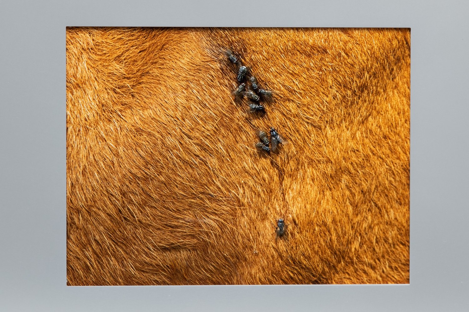 mod&amp;egrave;le vivant, kurimanzutto, mexico city, 2023