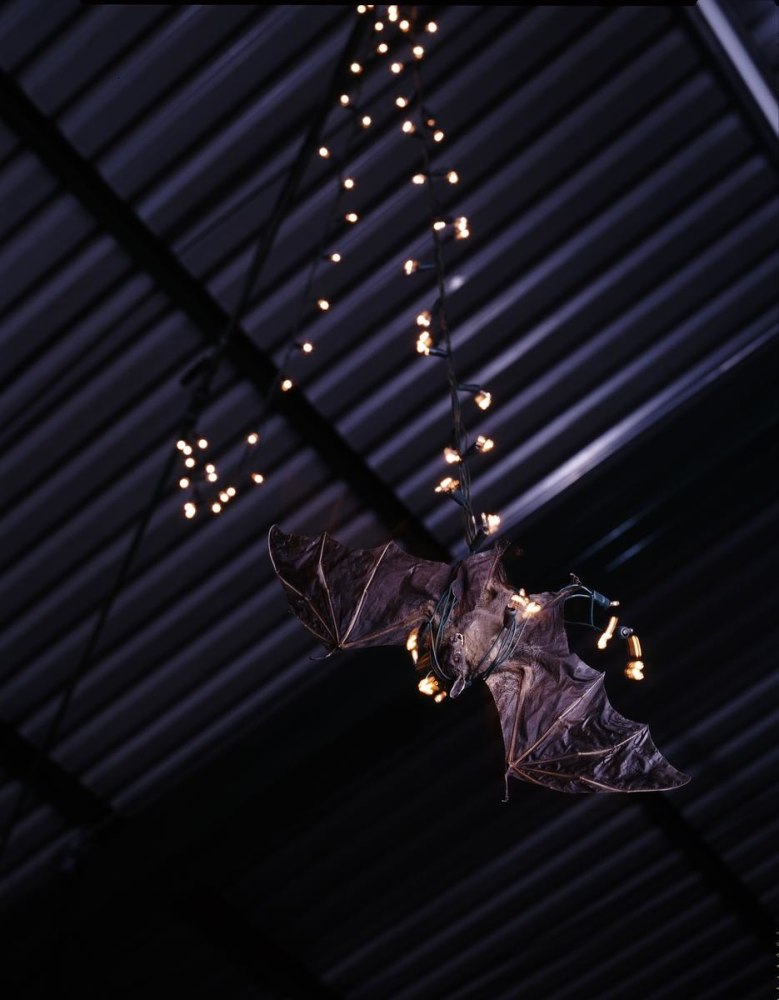 	miguel calder&amp;oacute;n, kurimanzutto, mexico city, mexico, 2006