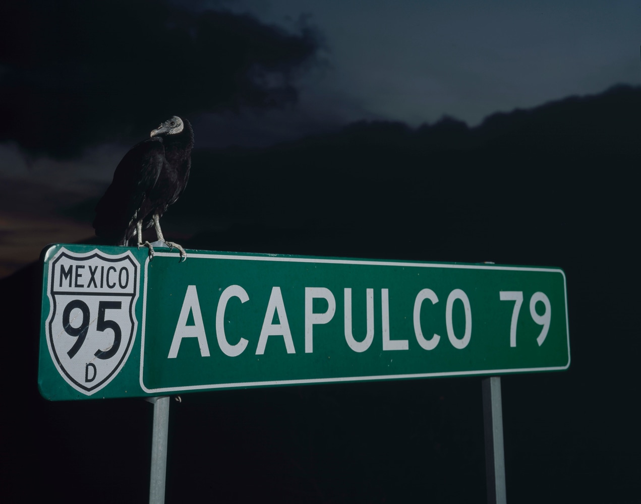 acapulco 79, 2008 impresi&amp;oacute;n digital 55.12 x 70.87 in.