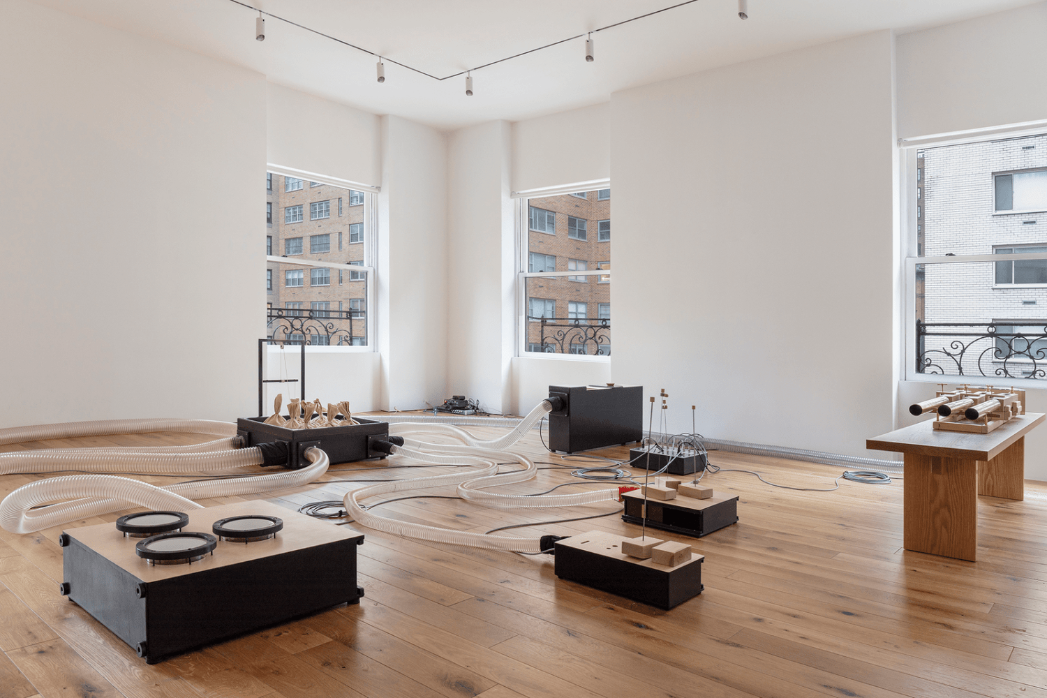 organ within, kurimanzutto, nueva&amp;nbsp;york, 2019