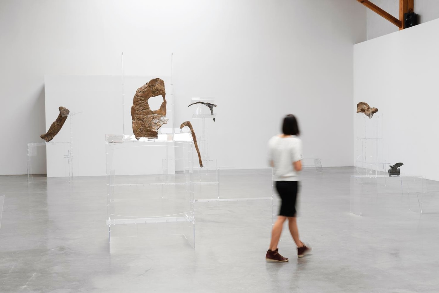 	allora &amp;amp; calzadilla,&amp;nbsp;performative ellipses, 2016