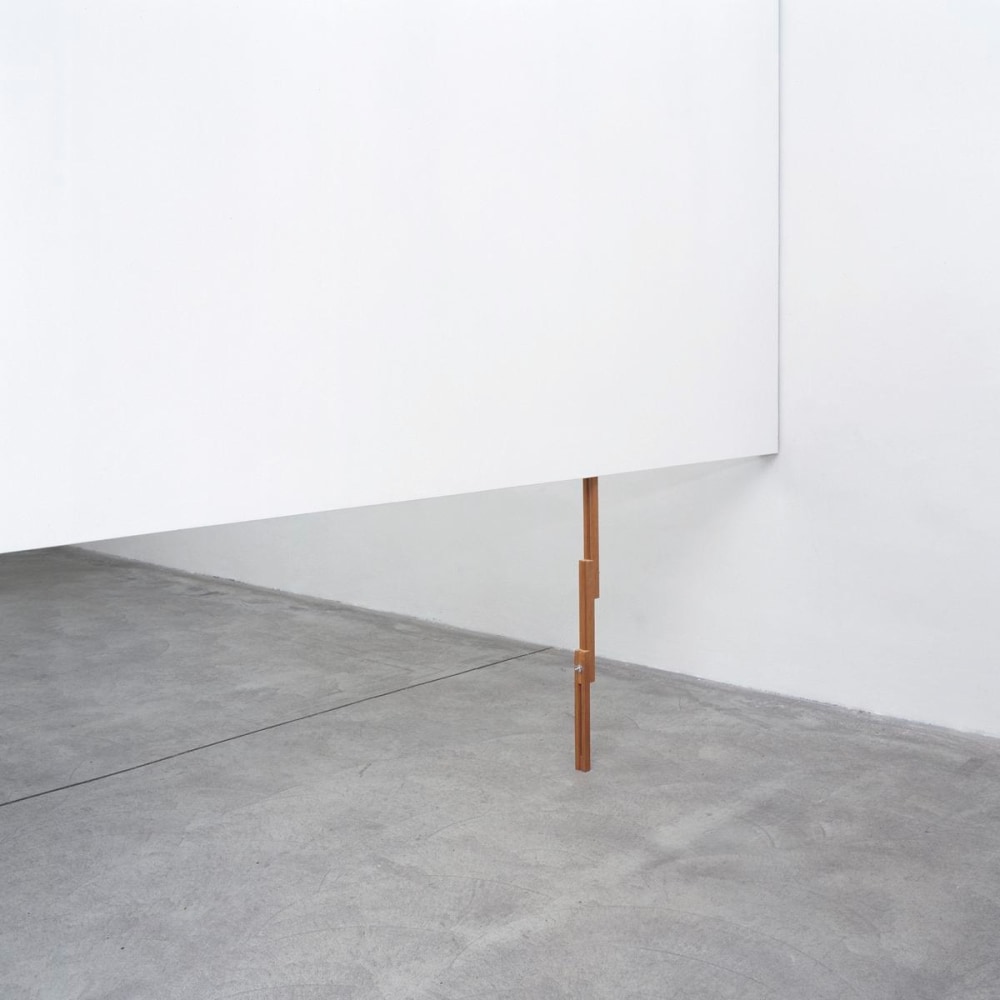 untitled (cola de zorro), 2009

wood, screws and dry wall

variable dimensions&amp;nbsp;

&amp;nbsp;

&amp;nbsp;