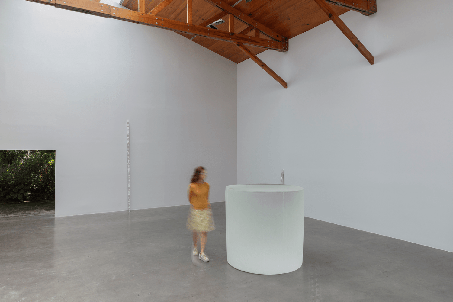 roni horn, kurimanzutto, ciudad de m&amp;eacute;xico, 2018
