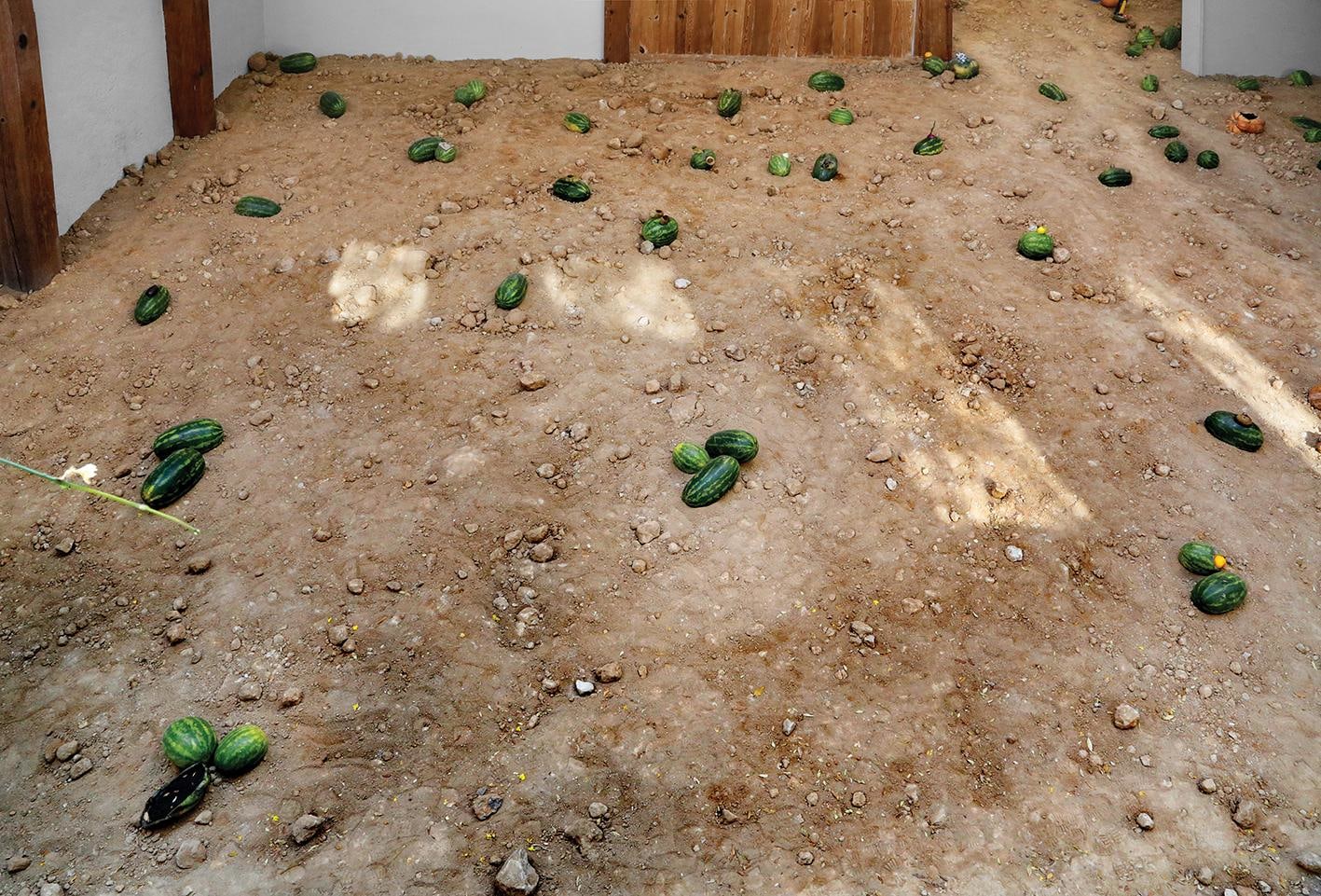 	los teatros de saturno, kurimanzutto, ciudad de m&amp;eacute;xico, 2014