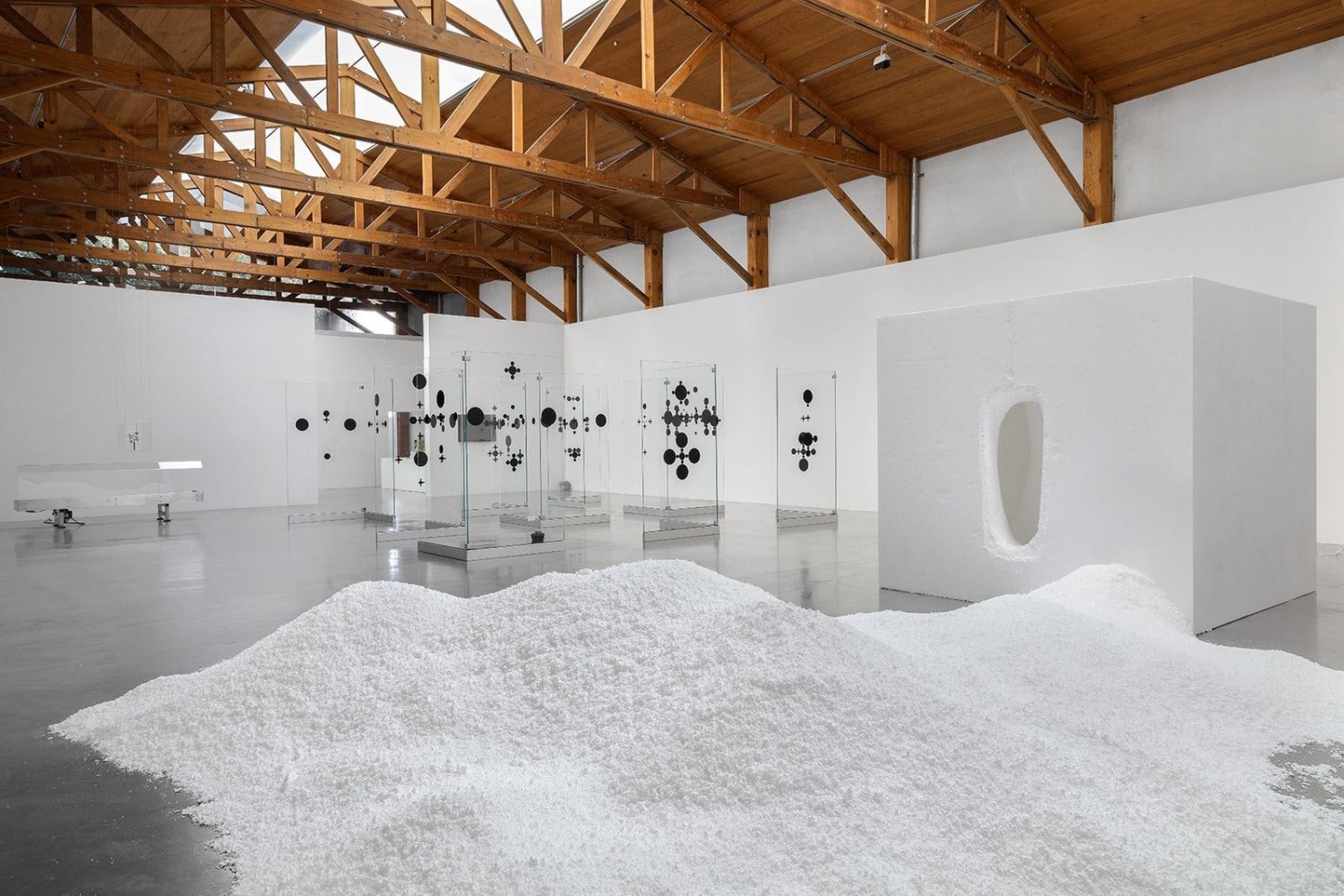 	xyla&amp;ntilde;ynu. taller de los viernes (the friday workshop), 2016