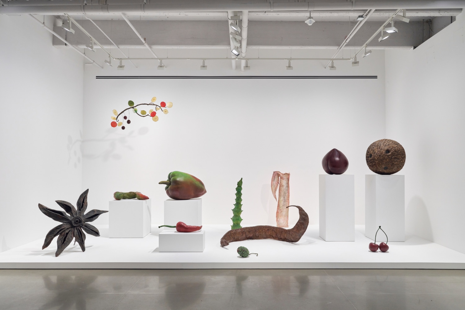 vista de instalaci&amp;oacute;n&amp;nbsp;ming fay: midnite porridge, kurimanzutto nueva york, 2025. foto: zach hyman