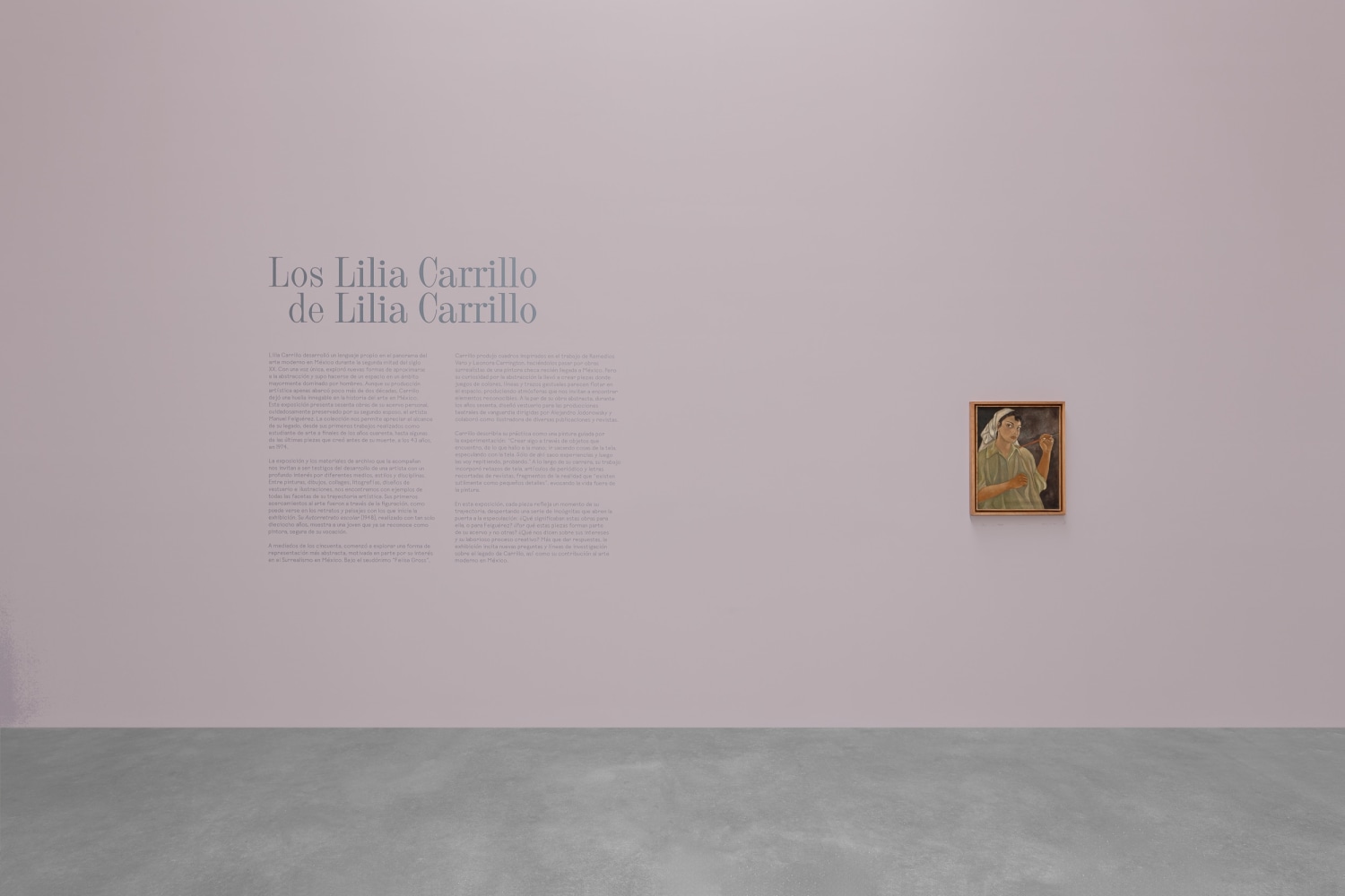 vista de instalaci&amp;oacute;n, los&amp;nbsp;lilia carrillo de lilia carillo, kurimanzutto ciudad de m&amp;eacute;xico, 2024. foto: gerardo landa / eduardo l&amp;oacute;pez (glr estudio)⁠