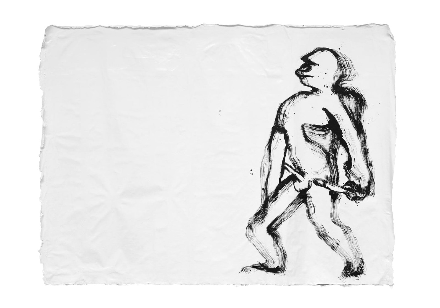 	nuestra imagen actual, kurimanzutto, mexico city, 2012