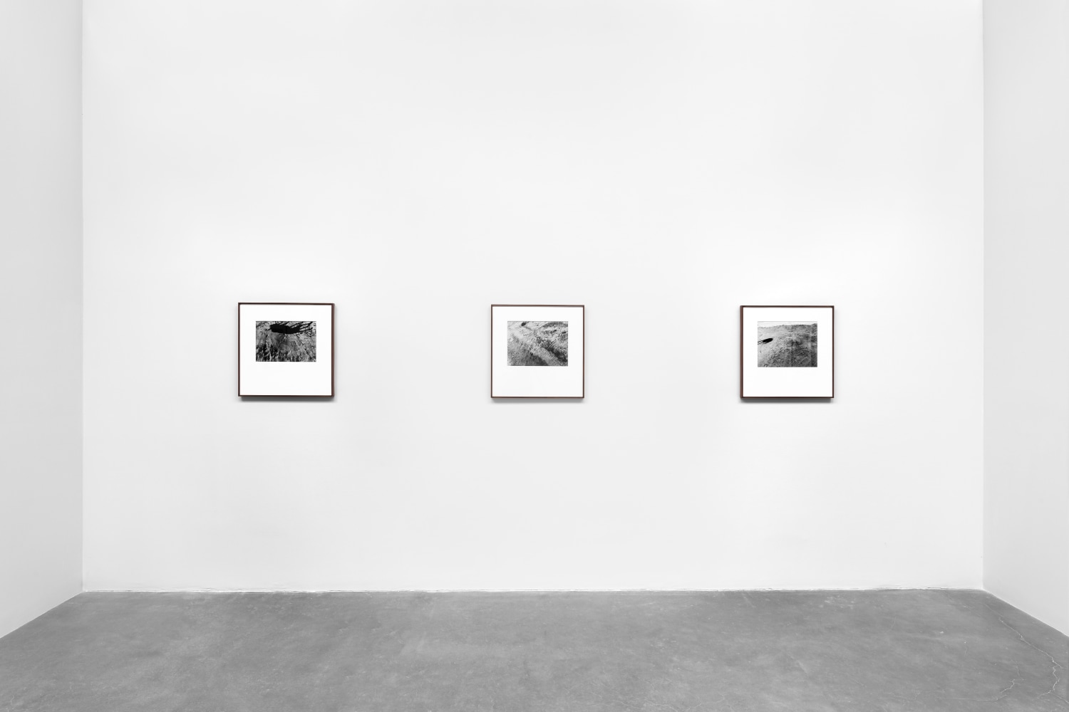 miguel calder&amp;oacute;n, buenavista, guerrero, abril 2020 en siembra, kurimanzutto, ciudad de m&amp;eacute;xico, 2020