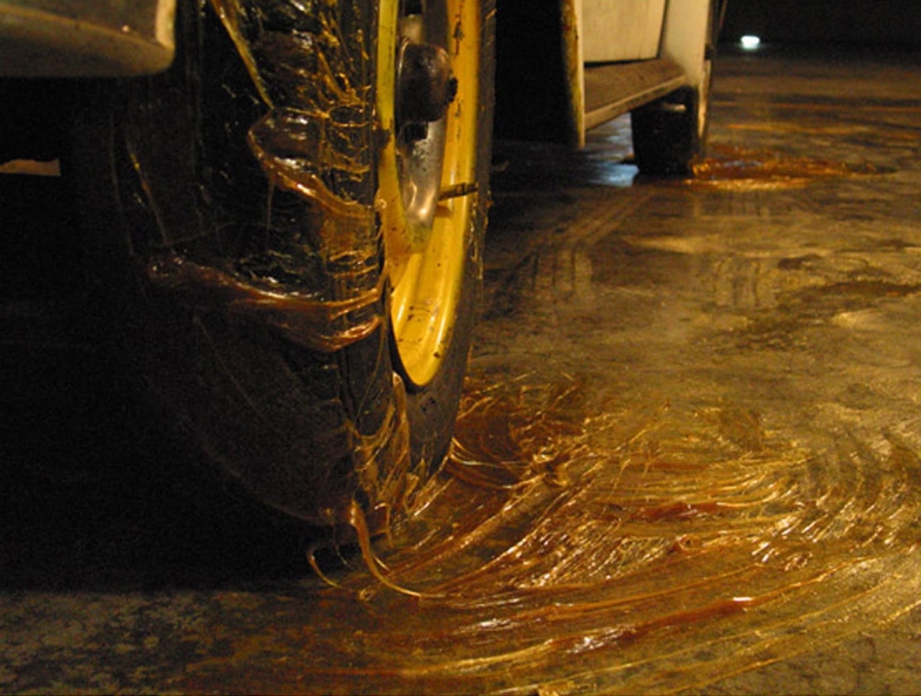 	moby dick, kurimanzutto, mexico city, 2004