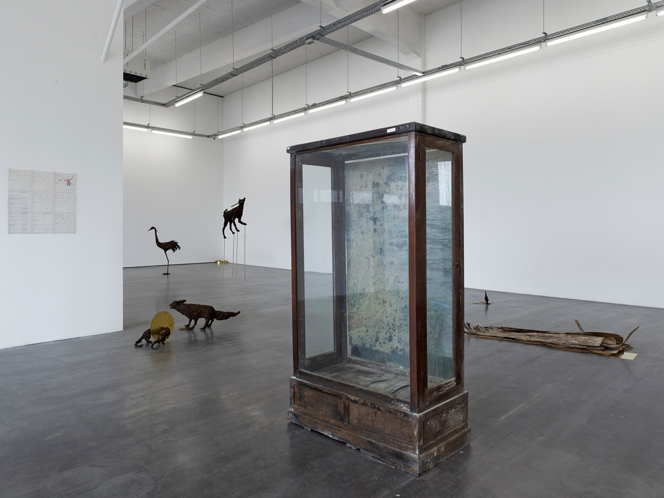 poisoned by men in need of some love (vitrines) (detalle), 2013

set de tres vitrinas del museo de historia natural de kosovo

187 x 103 x 45 cm&amp;nbsp;cada una