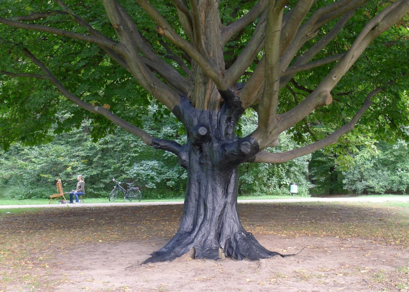 	photograph of the making of tree trap, berlin 2012