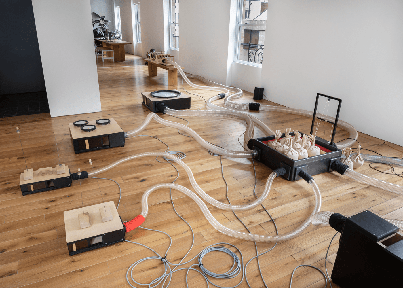 organ within, kurimanzutto, nueva&amp;nbsp;york, 2019